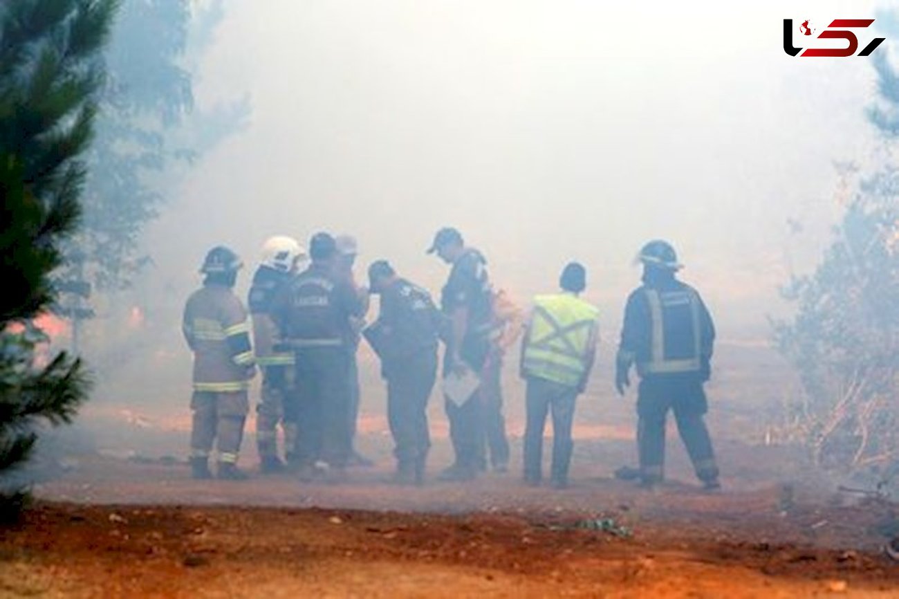 آتش سوزی شدید در جنگلهای شیلی + عکس