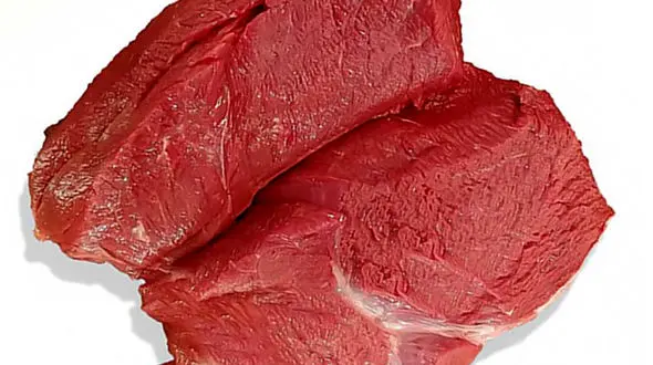 گوشت شتر بخورید