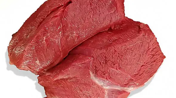 گوشت شتر بخورید