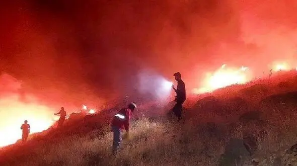 تا نیمه سال ۱۴۰۴، آتش ۲۵۶ مرتبه جنگل ها و مراتع ایران را سوزاند/  بی توجهی به اصل ۵۰ قانون اساسی از سوی مردم و مسئولان + لیست آتش سوزی ها