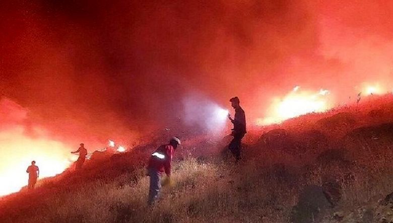 تا نیمه سال ۱۴۰۴، آتش ۲۵۶ مرتبه جنگل ها و مراتع ایران را سوزاند/  بی توجهی به اصل ۵۰ قانون اساسی از سوی مردم و مسئولان + لیست آتش سوزی ها