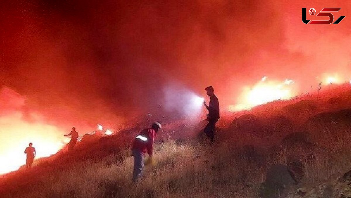 تا نیمه سال ۱۴۰۴، آتش ۲۵۶ مرتبه جنگل ها و مراتع ایران را سوزاند/ بی توجهی به اصل ۵۰ قانون اساسی از سوی مردم و مسئولان + لیست آتش سوزی ها