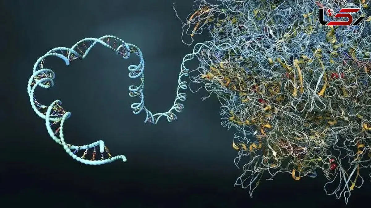 هوش مصنوعی یا کوانتوم؟ انتخاب کلیدی برای آینده علم