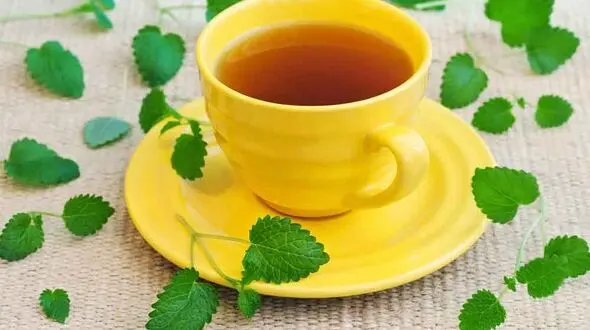 گزینه های گیاهی برای شکست حساسیت فصلی