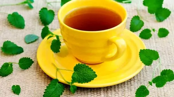 گزینه های گیاهی برای شکست حساسیت فصلی