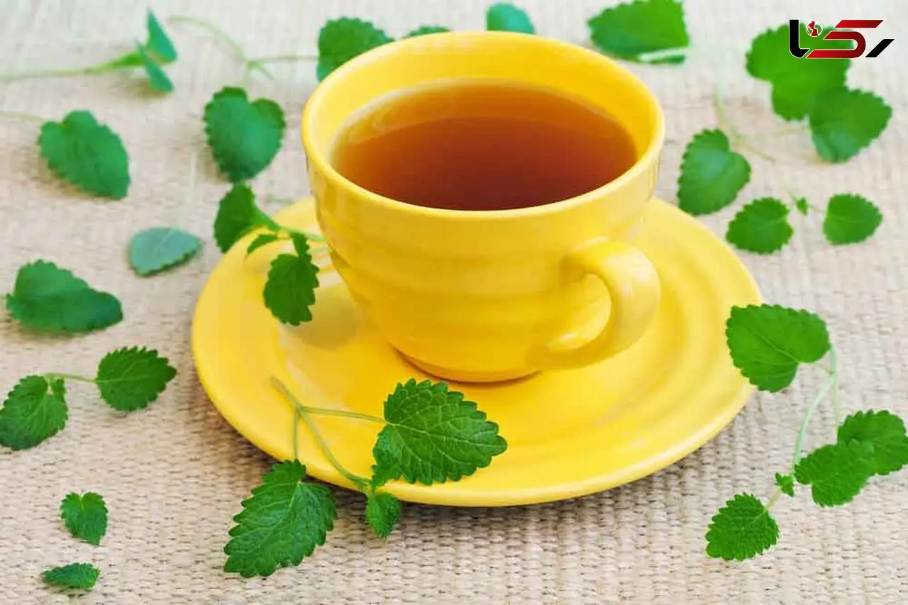 گزینه های گیاهی برای شکست حساسیت فصلی