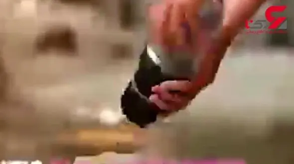 پاور بانک قابل شارژ در محیط زیست + فیلم 