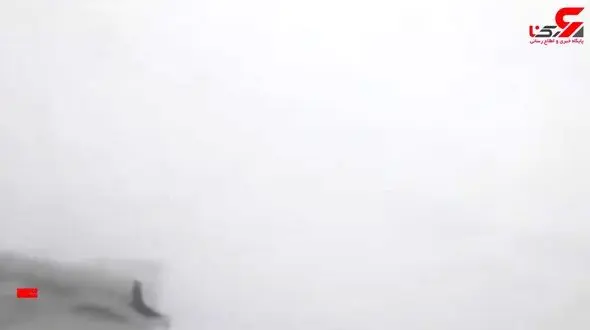 شرق آمریکا در انتظار طوفانی سهمگین +تصویر