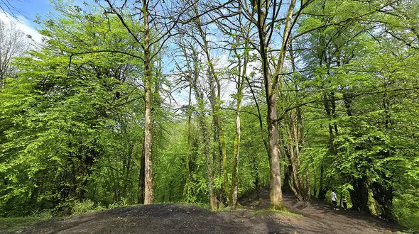سفر به مازندران: ماجراجویی در دل جنگل‌های سرسبز و لذت از فرهنگ محلی