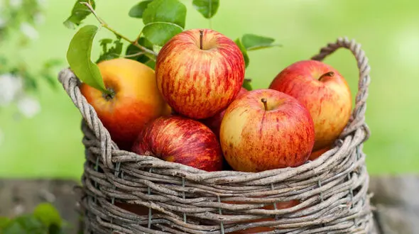 میوه هایی که سلامت کلیه را تضمین می کنند
