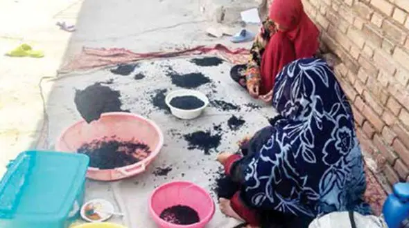 ازدواج عروس 8 ساله در پاکدشت / بلوچ هایی ایرانی که به هویت افغانی در جنوب تهران زندگی می کنند ! + عکس