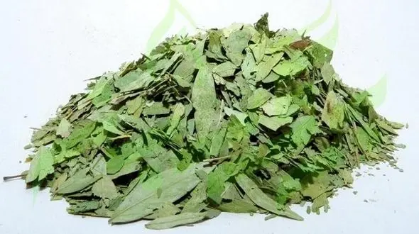 پاکسازی بدن با یک گیاه