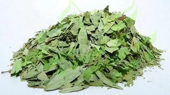پاکسازی بدن با یک گیاه