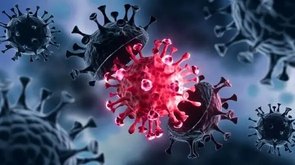 تا دو هفته دیگر امیکرون به سویه غالب کرونا در ایران تبدیل می شود / واکسن های موجود در برابر امیکرون کارآیی چندانی ندارد