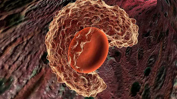 از ترس کرونا سرطان نگیرید