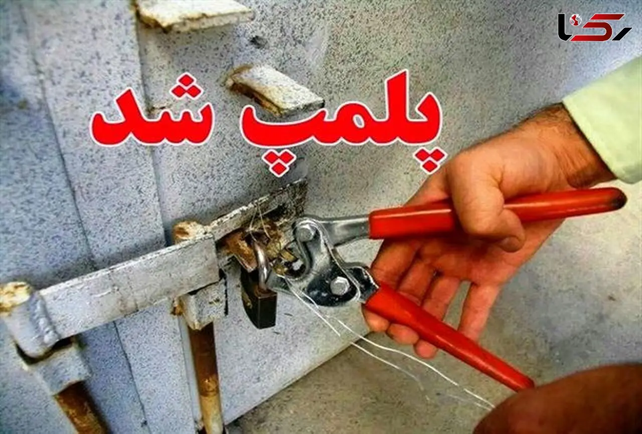 پلمپ ۷ مرغ فروشی در لیردف جاسک