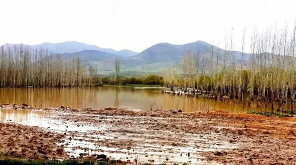خسارت 200 میلیارد تومان سیل به کشاورزی فارس 