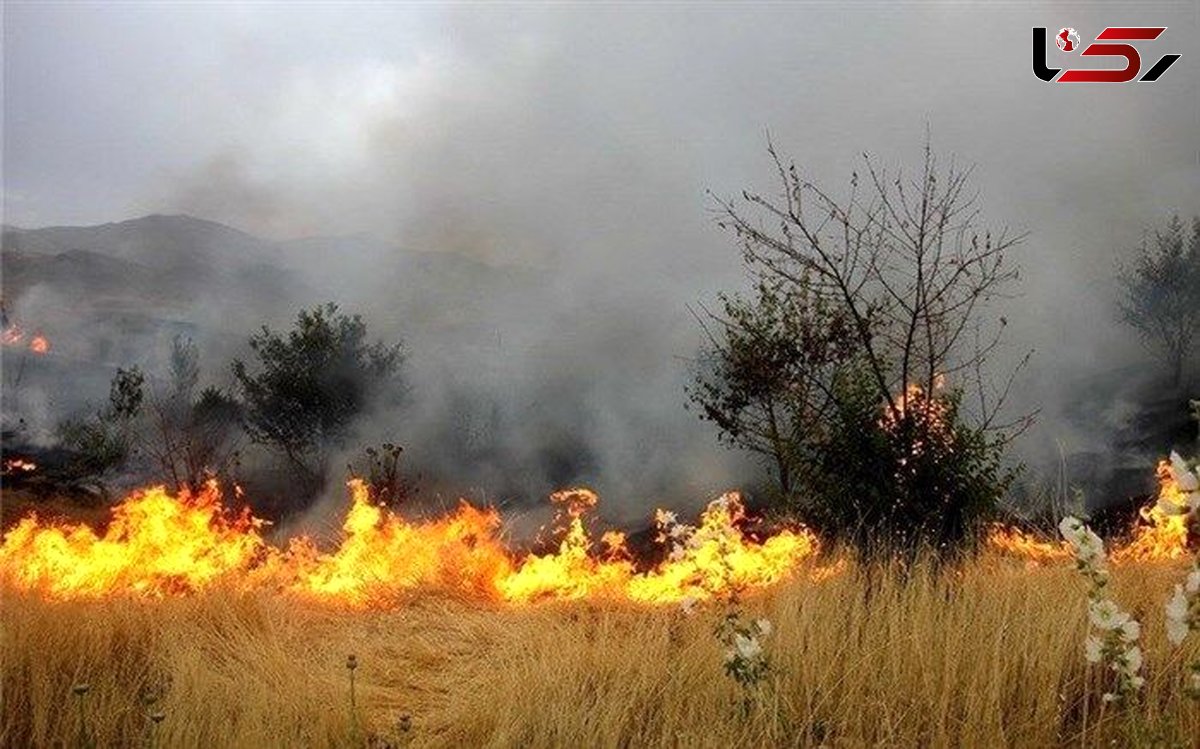 آتش‌سوزی در مراتع علی‌آباد نیزار قم همچنان ادامه دارد