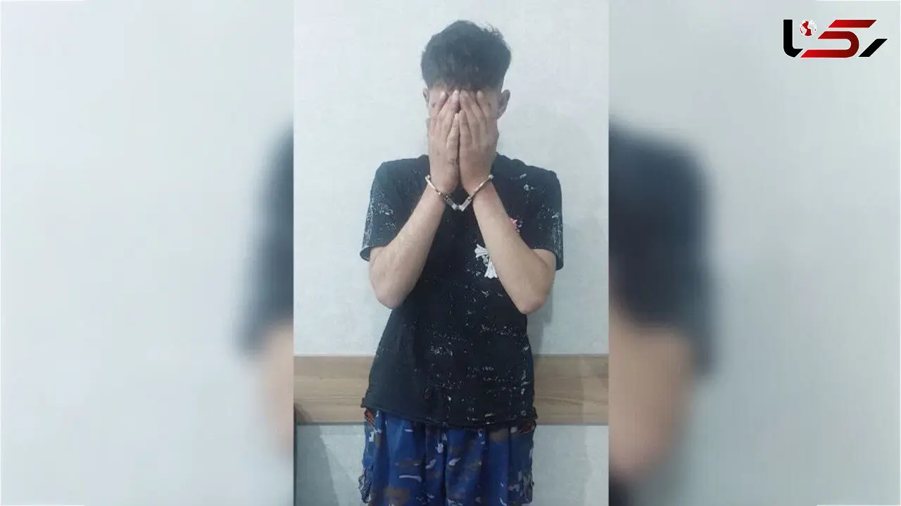 نزاع با سلاح سرد / دستگیری فرد قانون‌شکن در پارک انقلاب