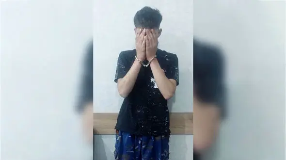 نزاع با سلاح سرد / دستگیری فرد قانون‌شکن در پارک انقلاب