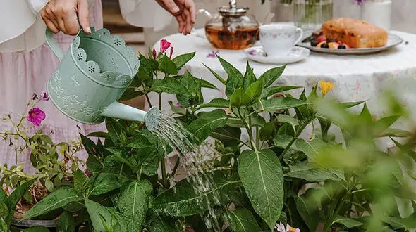 فال و طالع بینی روزانه 11 دی 1403 + فیلم 