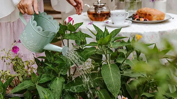 فال و طالع بینی روزانه 11 دی 1403 + فیلم 