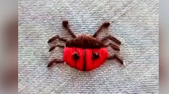 لباس تان پاره شد نگران نشوید! + فیلم 