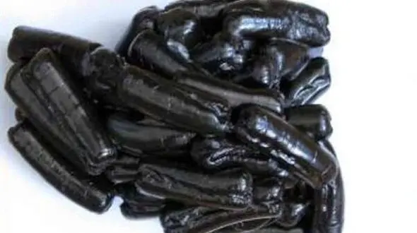 ۹۵ بسته تریاک از معده سوداگر مرگ در بجنورد کشف شد