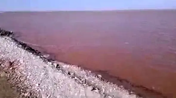 فیلمی از هجوم سیلاب در محور طبس