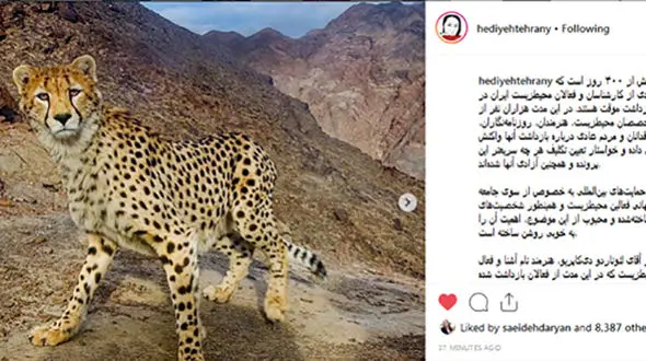 تشکر هدیه تهرانی از لئوناردو دی‌کاپریو+عکس