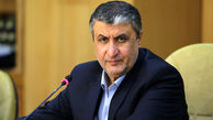 رییس سازمان انرژی اتمی ایران وارد وین شد