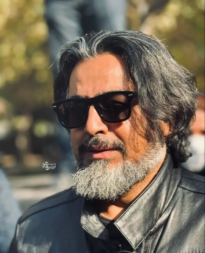 پرواز همای