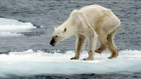 علت اصلی افزایش آب های زیرزمینی کشف شد/در پاسخ به تغییر اقلیم