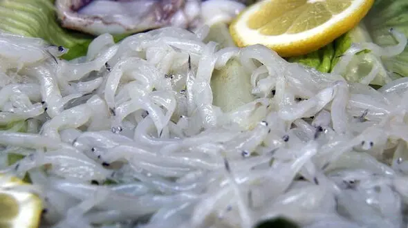گران قیمت ترین غذایی که مزه خاصی ندارد! + تصاویر