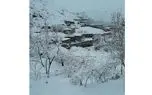 برف سه ماهه مسیر روستا هوفل پلنگیِ ایذه را مسدود کرده/ درگیری مردم با کمبود آذوقه انسانی و دامی/ اهالی: می گویند صبر کنید،اما چگونه؟