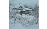 برف سه ماهه مسیر روستا هوفل پلنگیِ ایذه را مسدود کرده/ درگیری مردم با کمبود آذوقه انسانی و دامی/ اهالی: می گویند صبر کنید،اما چگونه؟