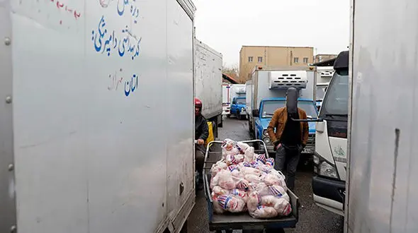 قیمت عجیب سینه و ران مرغ در بازار / قیمت مرغ 6 رقمی شد؟