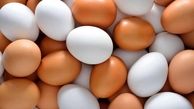 تخم مرغ در بازار ارزان شد