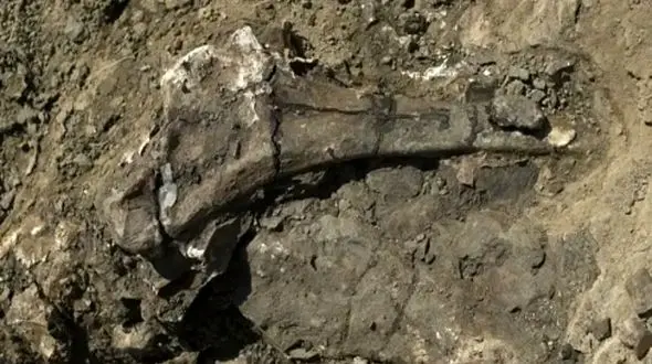 رودخانه مرگ: پرده‌ برداری از راز گورستان باستانی دایناسورها