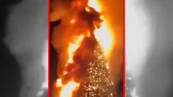 فیلم سوختن درخت سال نو گرجستان