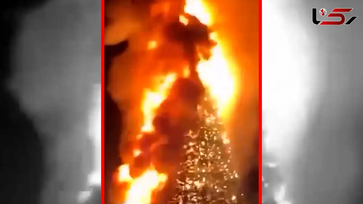 فیلم سوختن درخت سال نو گرجستان