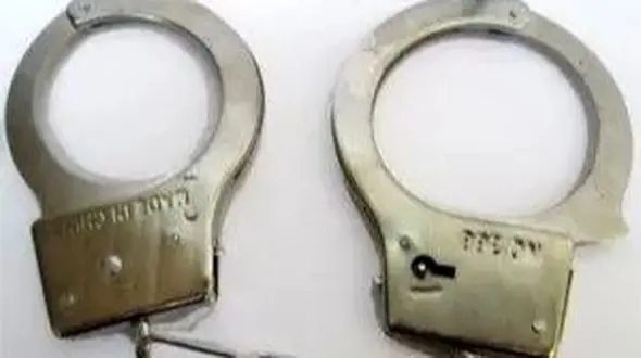 دلتنگی مادرانه، عامل ربودن دختر ۴ ساله شد