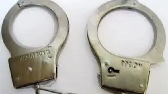 دلتنگی مادرانه، عامل ربودن دختر ۴ ساله شد