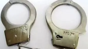 دلتنگی مادرانه، عامل ربودن دختر ۴ ساله شد