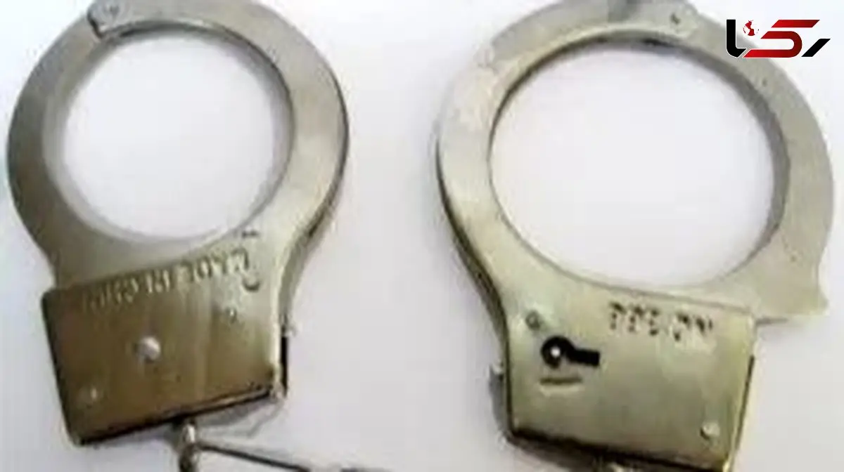 دلتنگی مادرانه، عامل ربودن دختر ۴ ساله شد