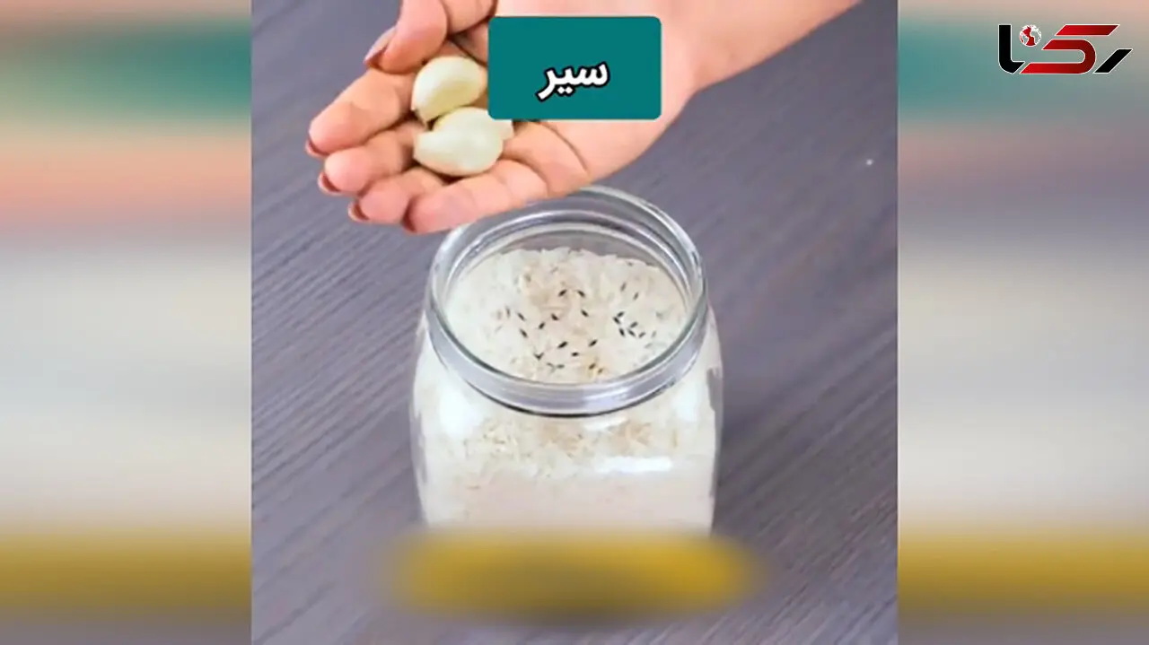 ترفند موثر برای حشره نزدن برنج + فیلم