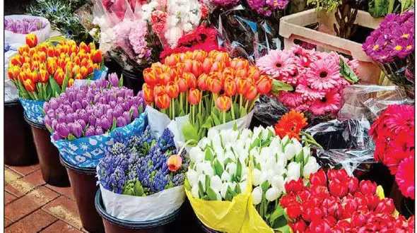 بازار گل کرونایی شد