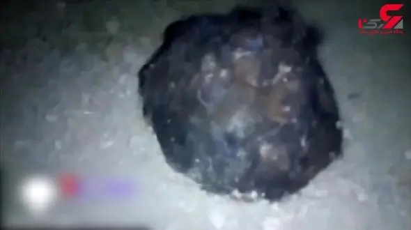 پیدا شدن جانور عجیب الخلقه در ایستگاه متروی متروکه! +فیلم