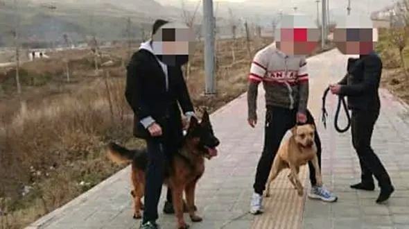 جزییات تکه و پاره کردن دختر بچه در لواسان توسط سگ از زبان خودش !+عکس های تکاندهنده