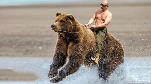 عکس خرس سواری پوتین جنجالی شد!